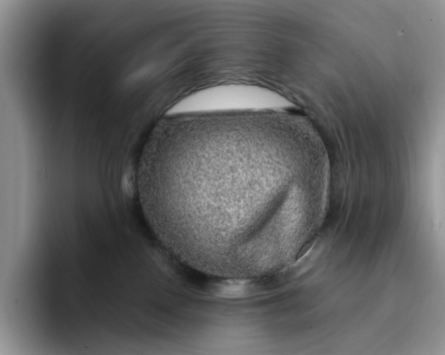 X0000091720090200709141214