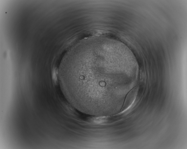 X0000091720094200709141214