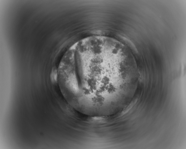 X0000091720095200709141214