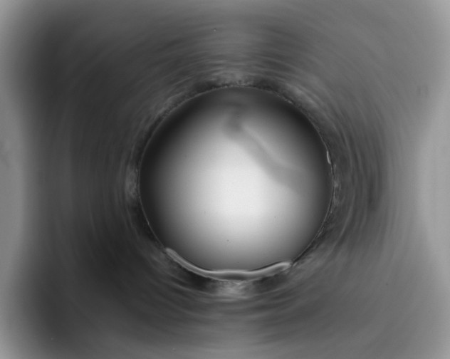 X0000091720096200709141214