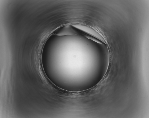 X0000091720097200709141213