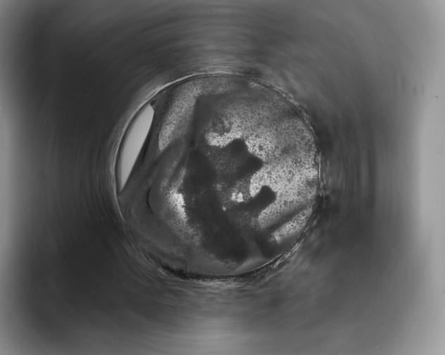 X0000091720099200709141213