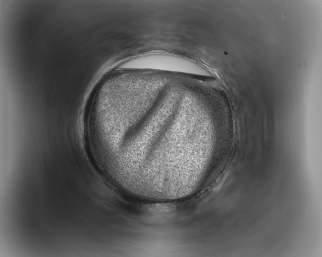 X0000091720102200709141213