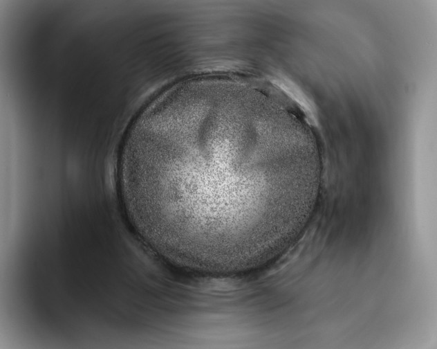 X0000091720107200709141213