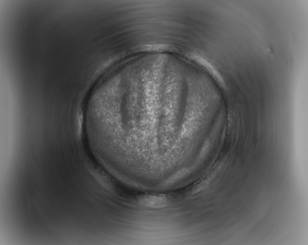 X0000091720110200709141213