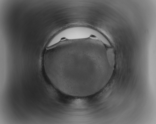 X0000091720111200709141213