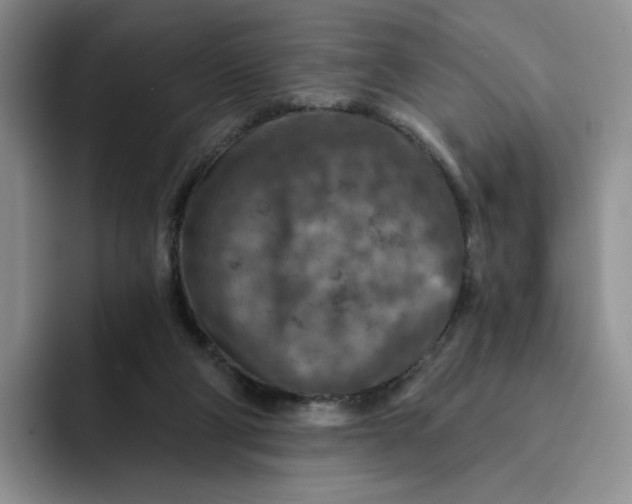 X0000091720114200709141213