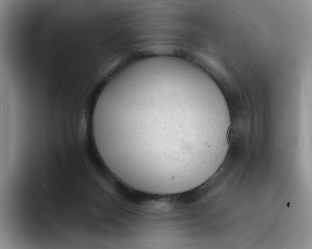 X0000091720120200709141213