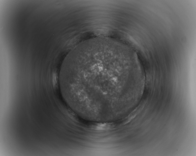 X0000091720130200709141213