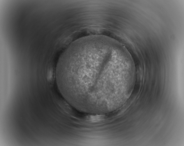 X0000091720134200709141213