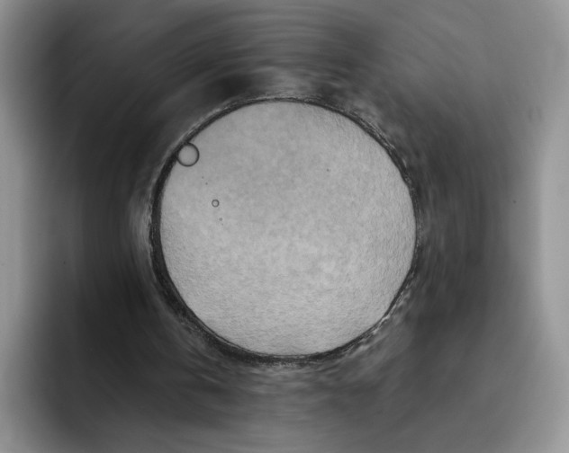 X0000091720146200709141212