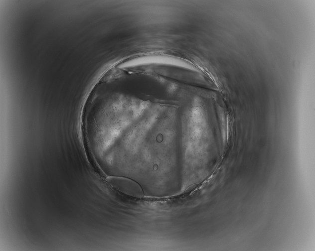 X0000091720147200709141212