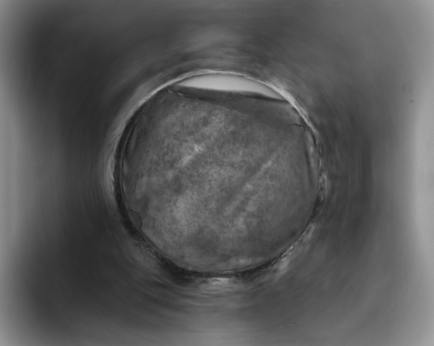 X0000091720151200709141212