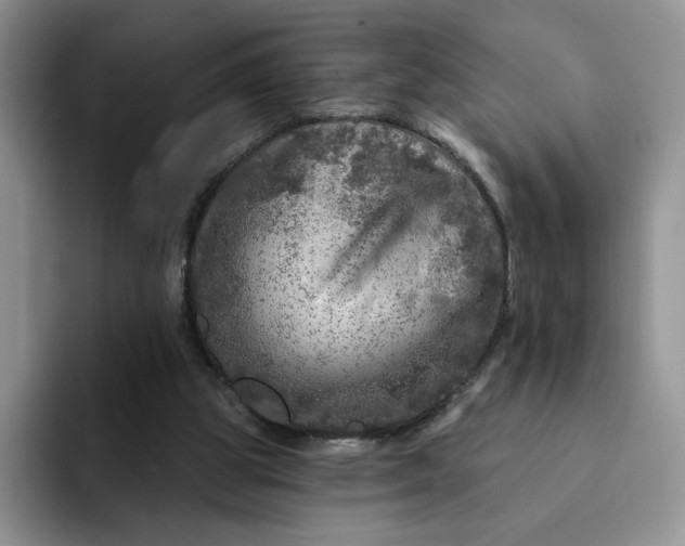 X0000091720153200709141212