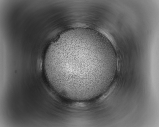 X0000091720157200709141212