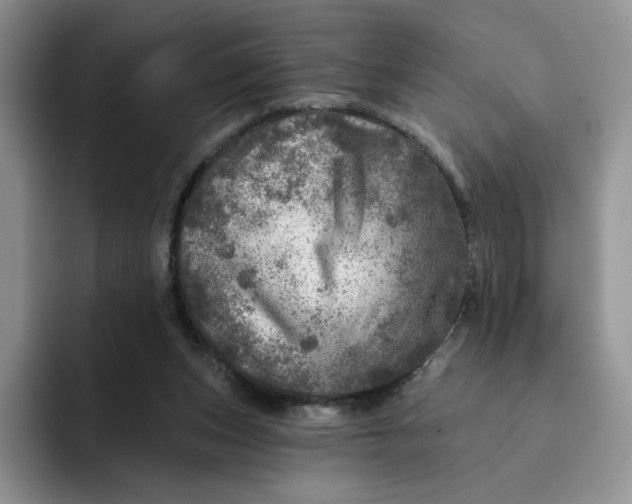 X0000091720159200709141212