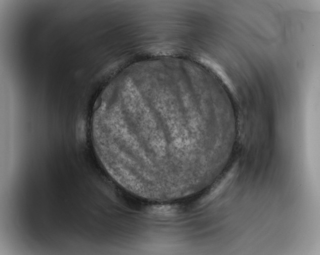 X0000091720161200709141212