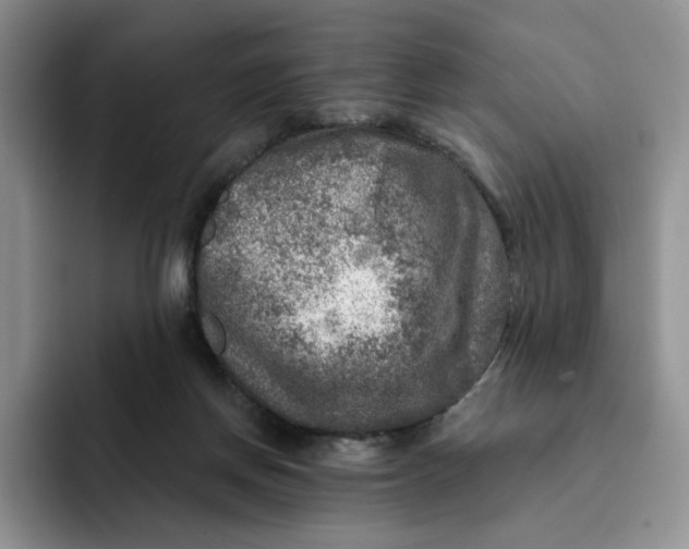 X0000091720166200709141212