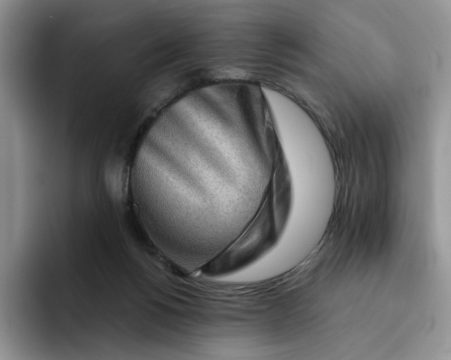 X0000091720168200709141212