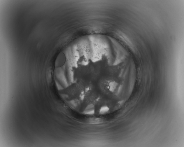 X0000091720169200709141212