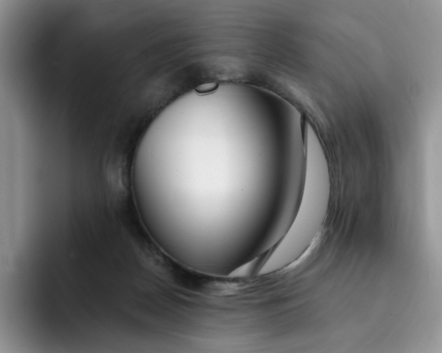 X0000091720170200709141212