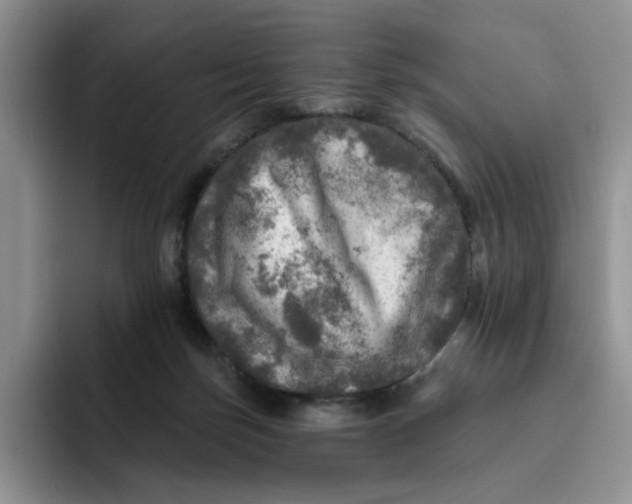 X0000091720171200709141212