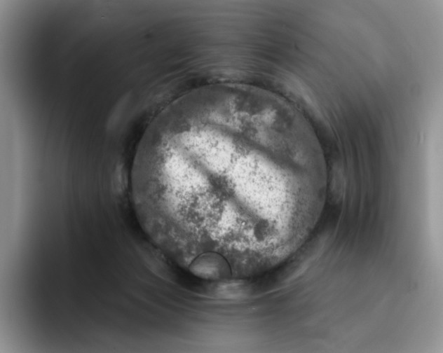 X0000091720173200709141212