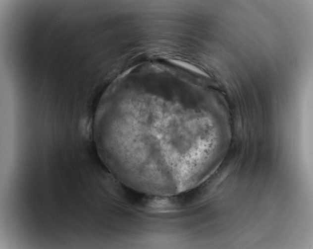 X0000091720177200709141213