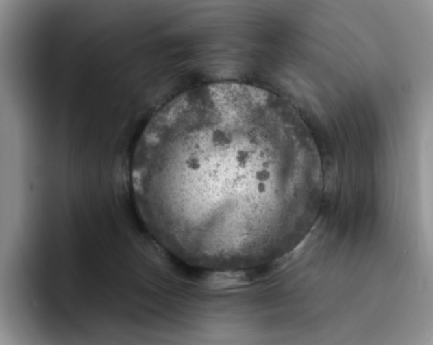 X0000091720179200709141213