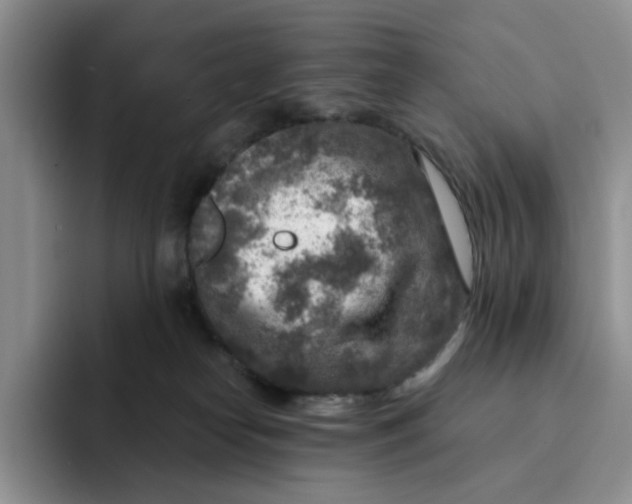 X0000091720182200709141213