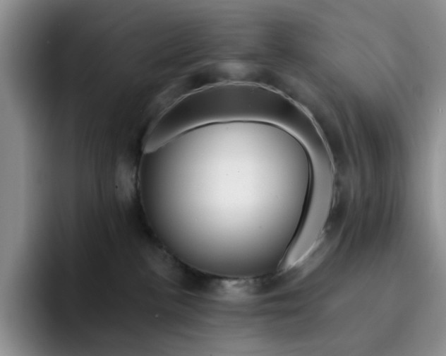 X0000091720188200709141213