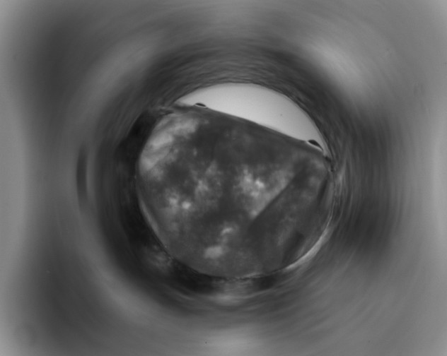 X0000091720191200709141213