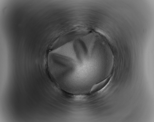 X0000091720192200709141213