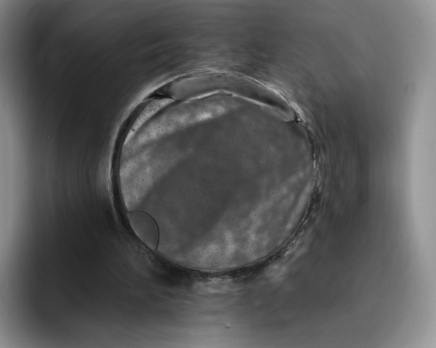 X0000091720196200709141212