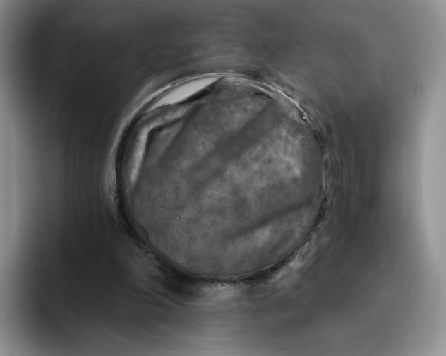 X0000091720198200709141212