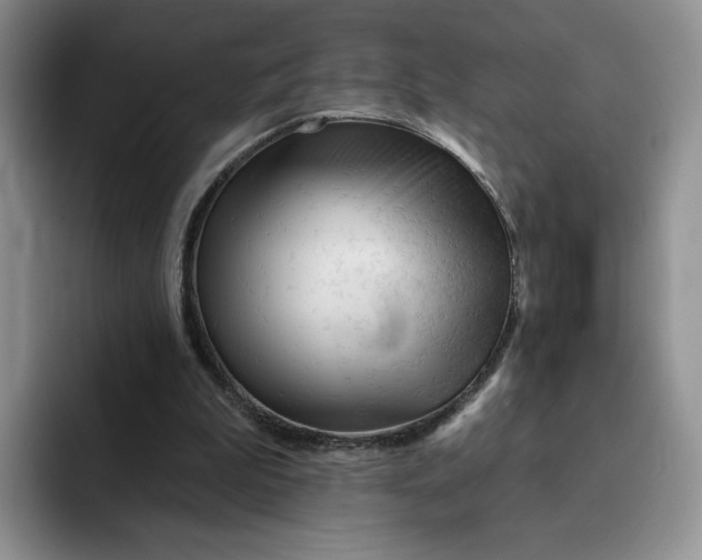 X0000091720199200709141212