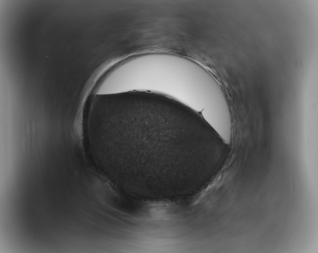 X0000091720200200709141212