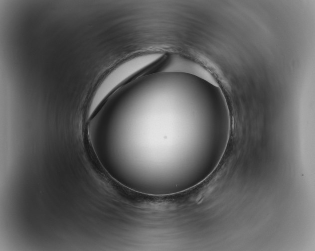 X0000091720201200709141212