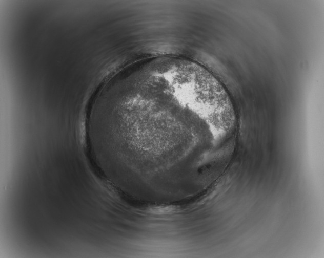 X0000091720202200709141212