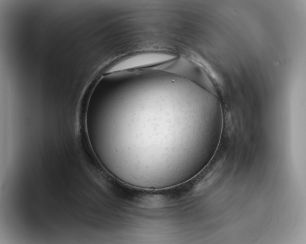 X0000091720203200709141212