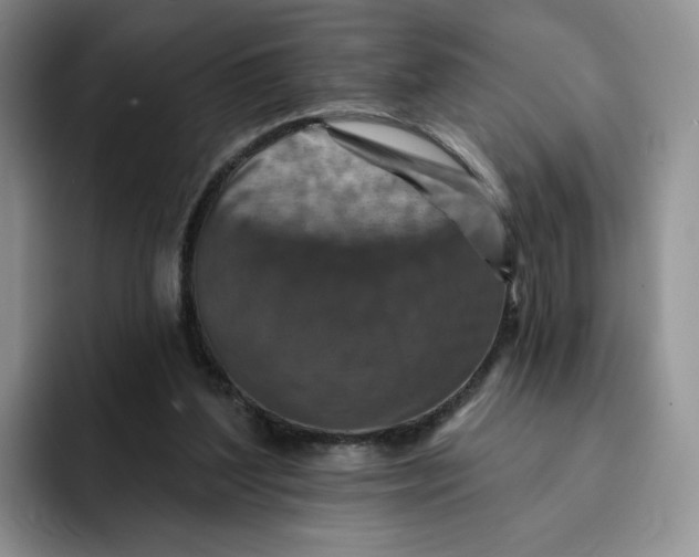 X0000091720204200709141212