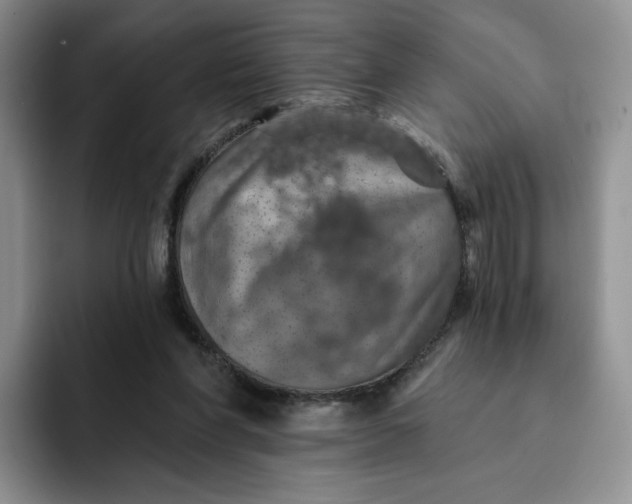 X0000091720206200709141212