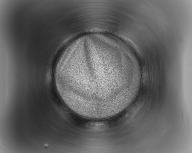 X0000091720208200709141212