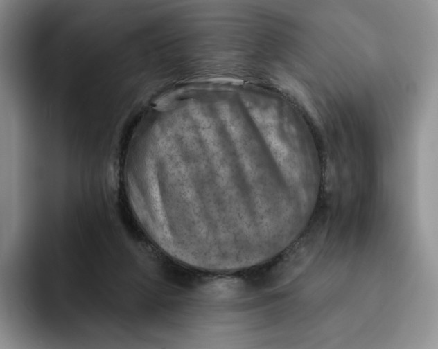 X0000091720210200709141212