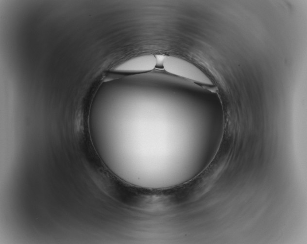 X0000091720212200709141212