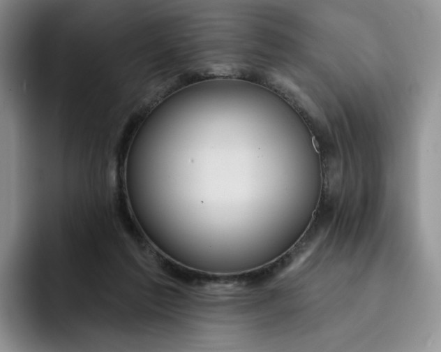 X0000091720213200709141212