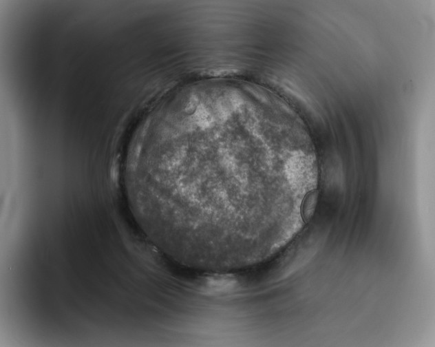 X0000091720214200709141212