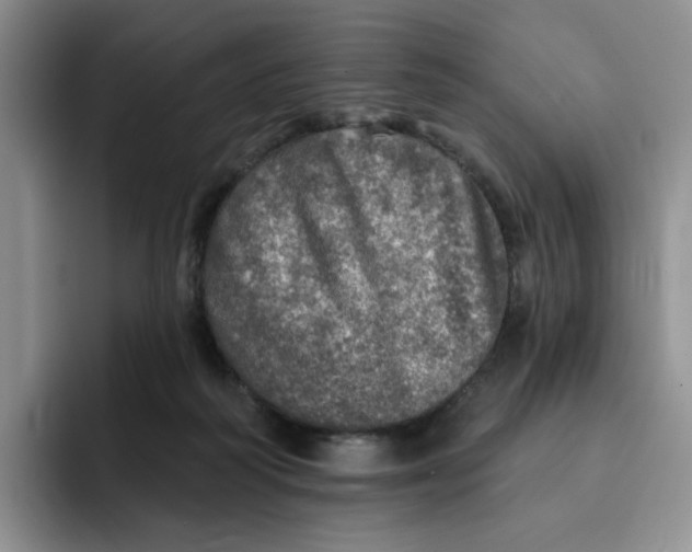 X0000091720218200709141212