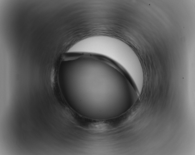 X0000091720219200709141212