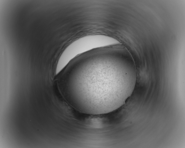 X0000091720228200709141212